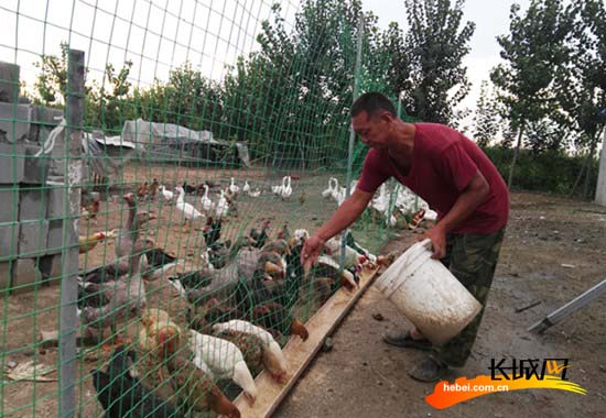 京东雨顺农场：发展从单一走向多元